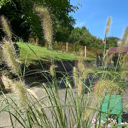 Urban Jungle Garden & Patio - Luksusowy W Gdyni *