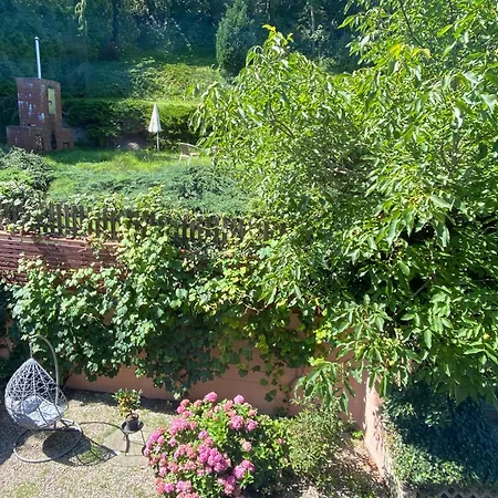 Urban Jungle Garden & Patio - Luksusowy W Gdyni Daire Gdynia